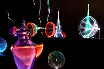 Image: Jellies: Living Art