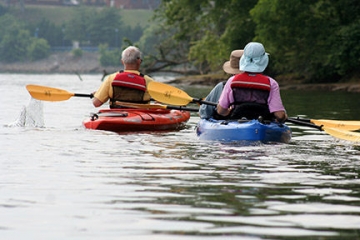 Image: Downtown Group Kayak Trips