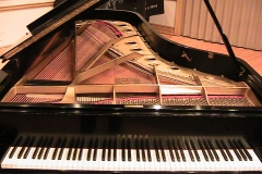 Image: "New Steinway Dedication Concert" featuring: Sin-Hsing Tsai, Piano