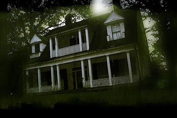 Image: Forest of Fear at Blowing Screams Farm