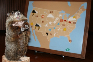 Image: Groundhog Day at the Tennessee Aquarium