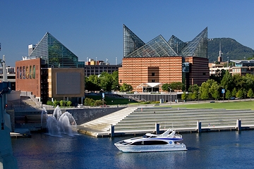 Image: Tennessee Aquarium